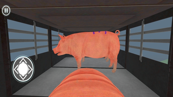 猪生模拟器游戏图3