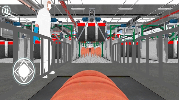 猪生模拟器游戏图2