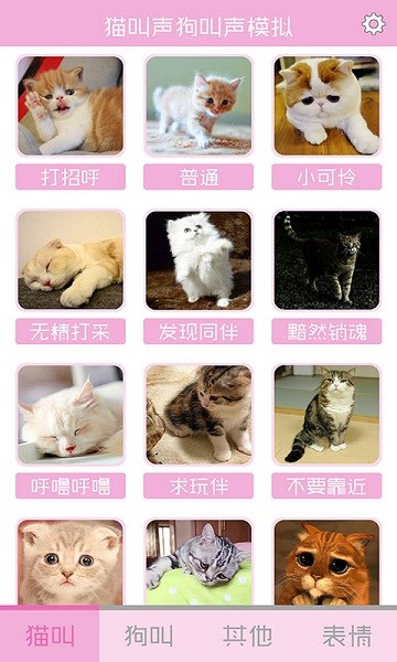 猫叫声狗叫声模拟app图1