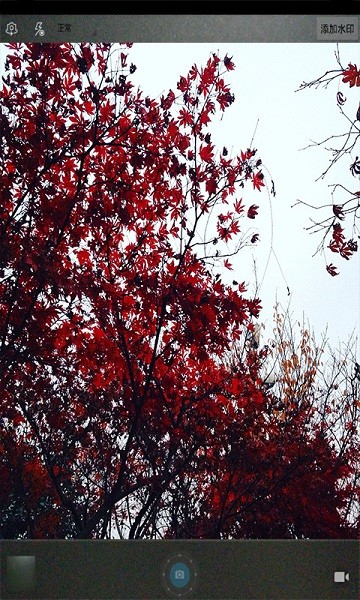 魔力玩图照相机app图2