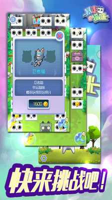 暴走猫咪最新版