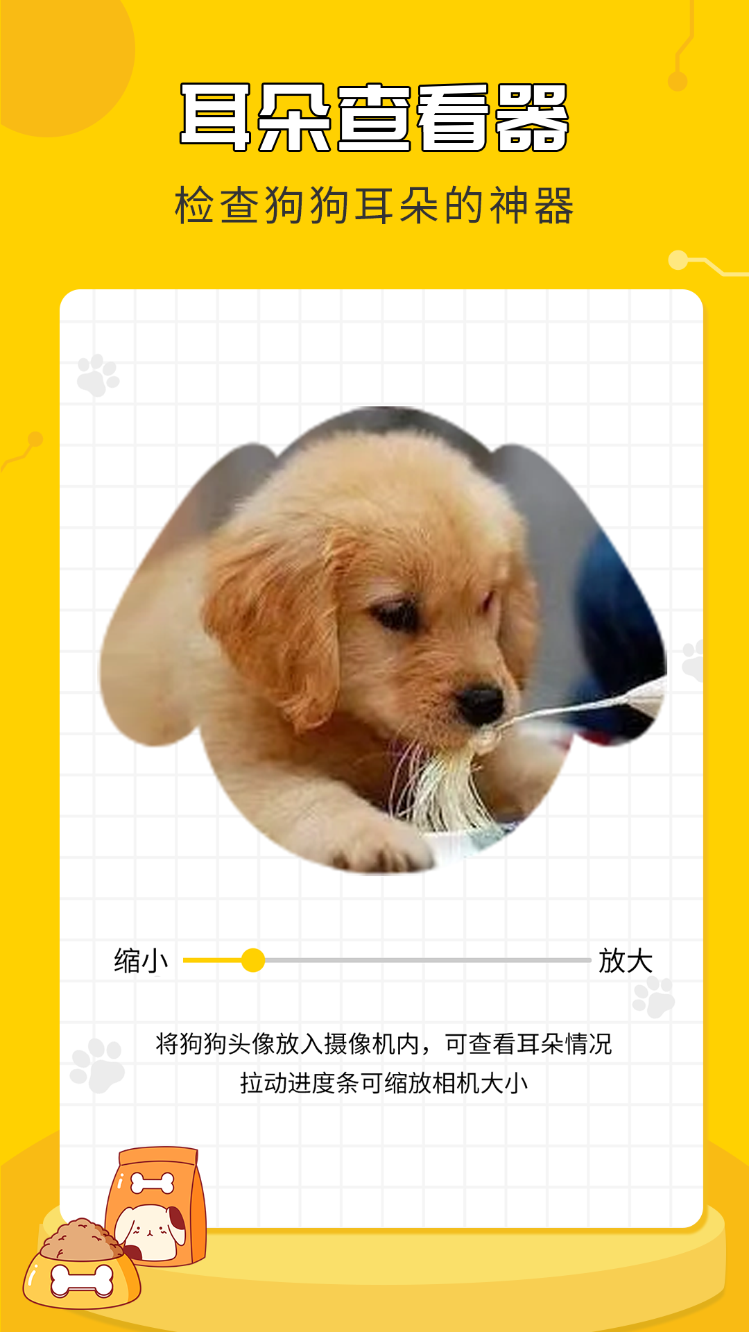 人狗翻译神器app图1