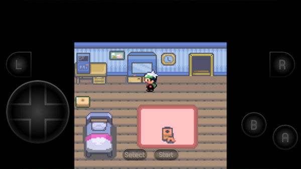 口袋妖怪空之花神图2