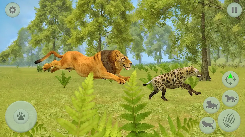 狮子家族生存模拟（Lion Simulator）游戏