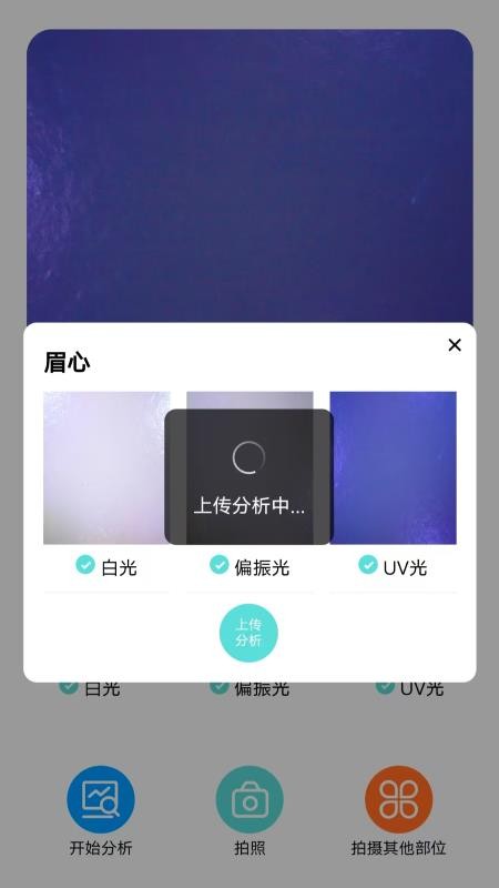 奢茉app