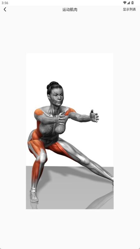 疼痛触发图谱app图1