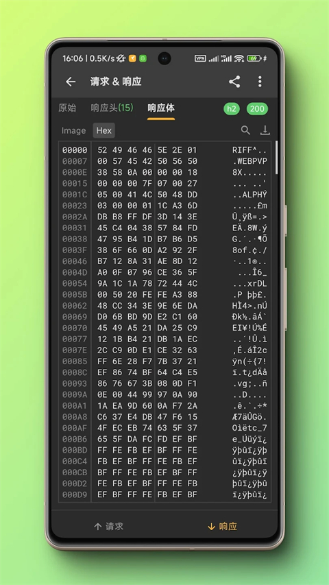 小黄鸟抓包软件图2
