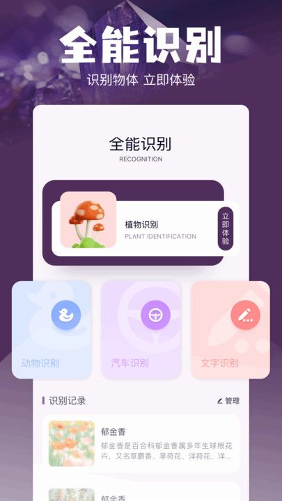 Magi工具箱app图2