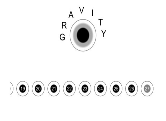 重力：脱离轨道手游图3