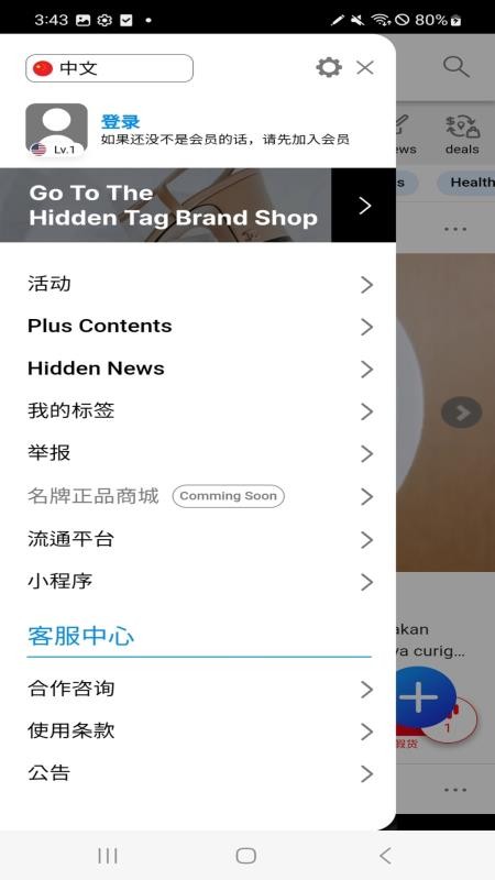 HiddenTag Global软件