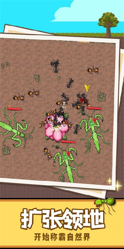 蚂蚁星球游戏