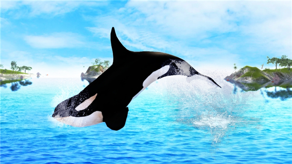 虎鲸模拟器(The Killer Whale)图1