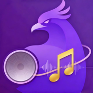 凤凰音嘲手机版