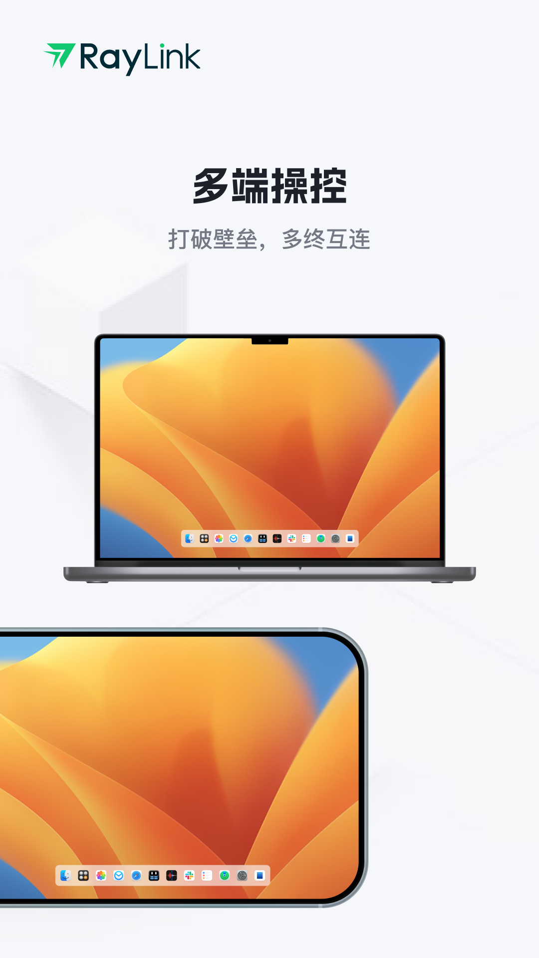 RayLink手机版图1
