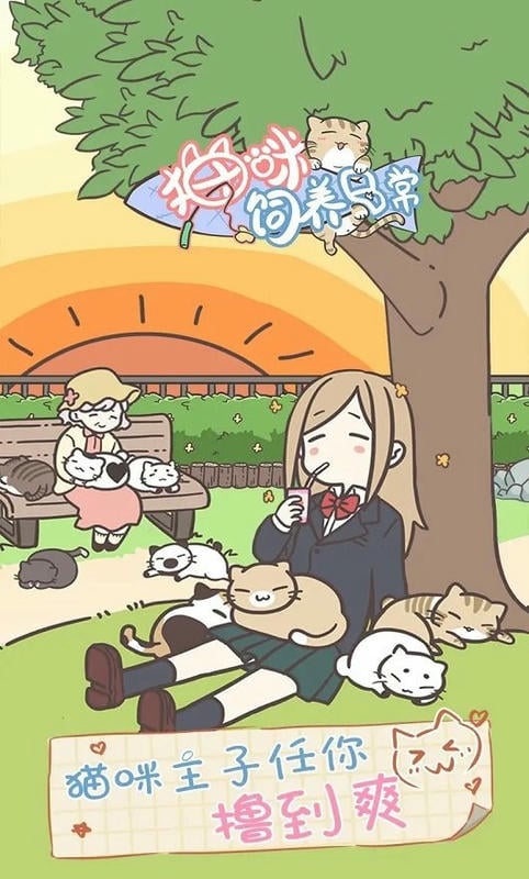 猫咪饲养日常图1