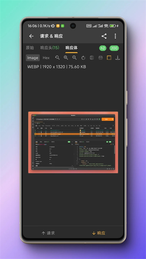 小黄鸟抓包软件图1