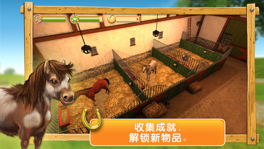 我的骏马3D（HorseWorld 3D）游戏图2