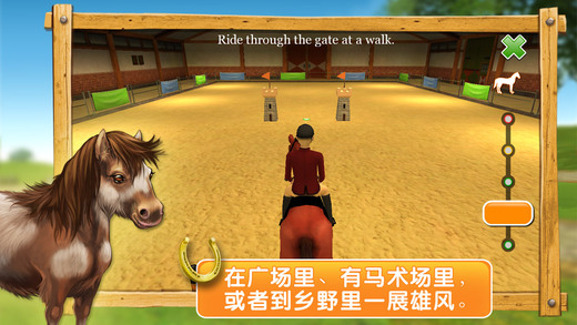 我的骏马3D（HorseWorld 3D）游戏图1