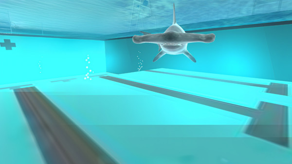 泳池里的鲨鱼游戏