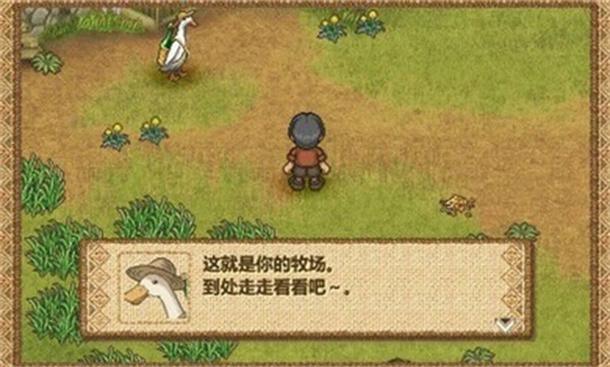 欢迎来到绵羊村虫虫助手版图2