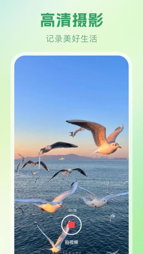 春雨播放器app图3