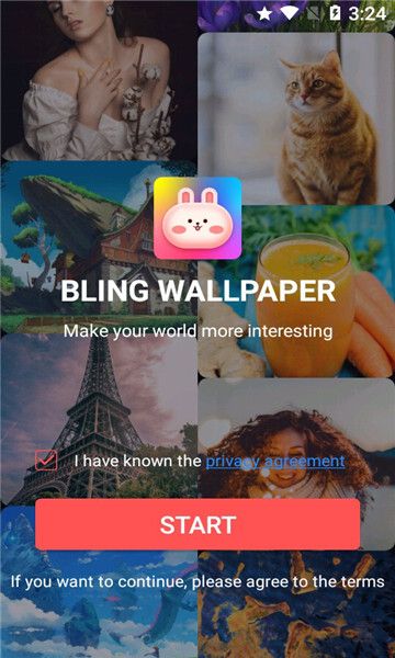 Bling Wallpaper手机版图3
