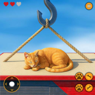 Cat Simulation The Way is Down游戏