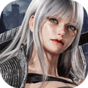 暗月十二国际服安装器