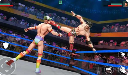 综合格斗大逃杀游戏图1