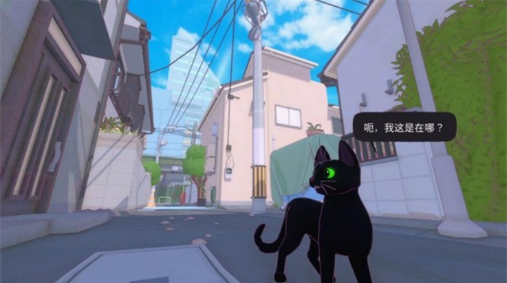 小猫咪城市冒险游戏