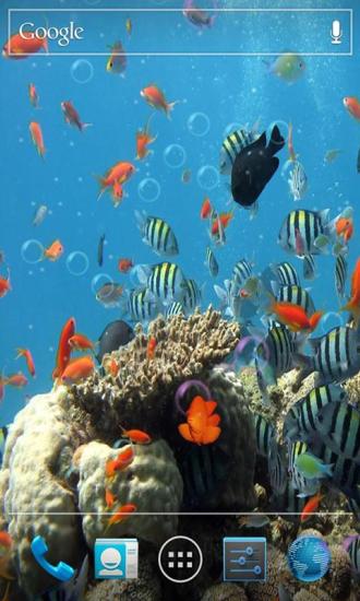 3D海底世界动态壁纸app图2