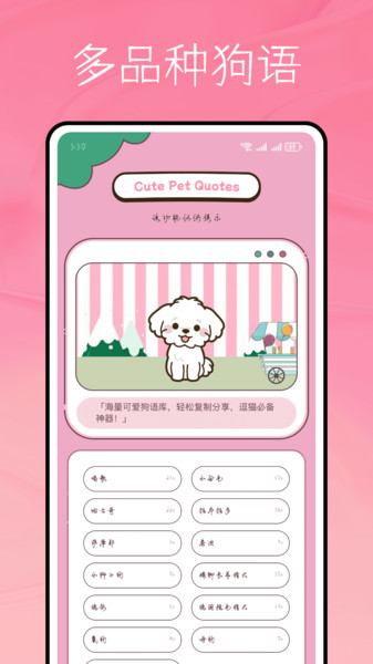 猫语言app图1