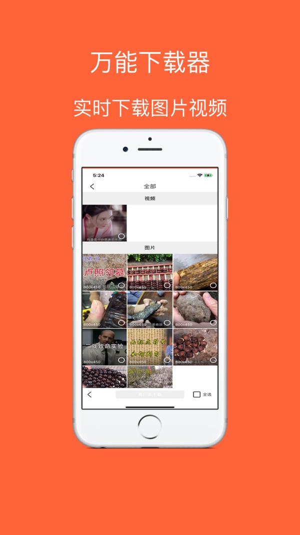 飞鸟浏览器app图1