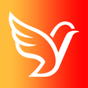 企言app