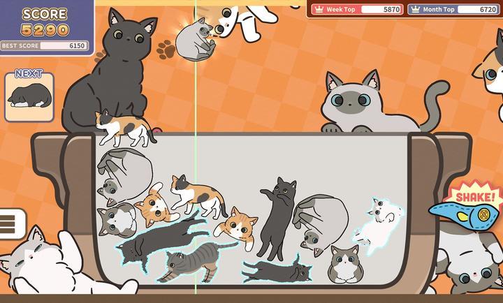 猫咪三重奏CatTrio图3